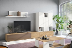 Compo_06_muebles_salon_antaix