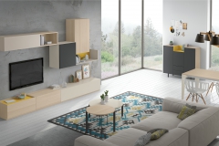 Compo_12_muebles_salon_antaix